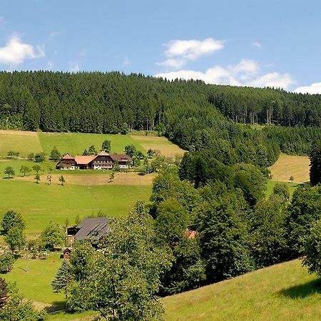 Riehle Hof Lejlighed Zell am Harmersbach Eksteriør billede