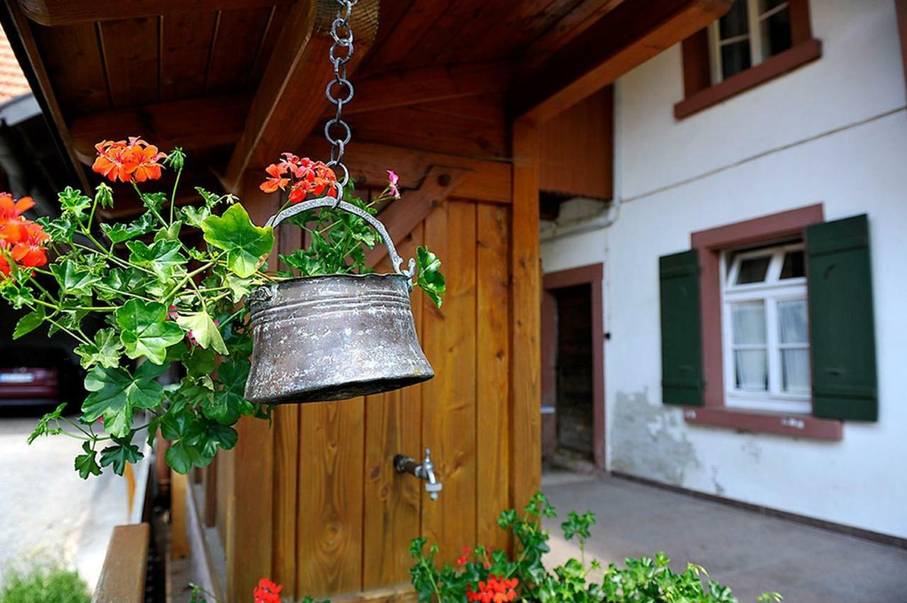 Riehle Hof Lejlighed Zell am Harmersbach Eksteriør billede