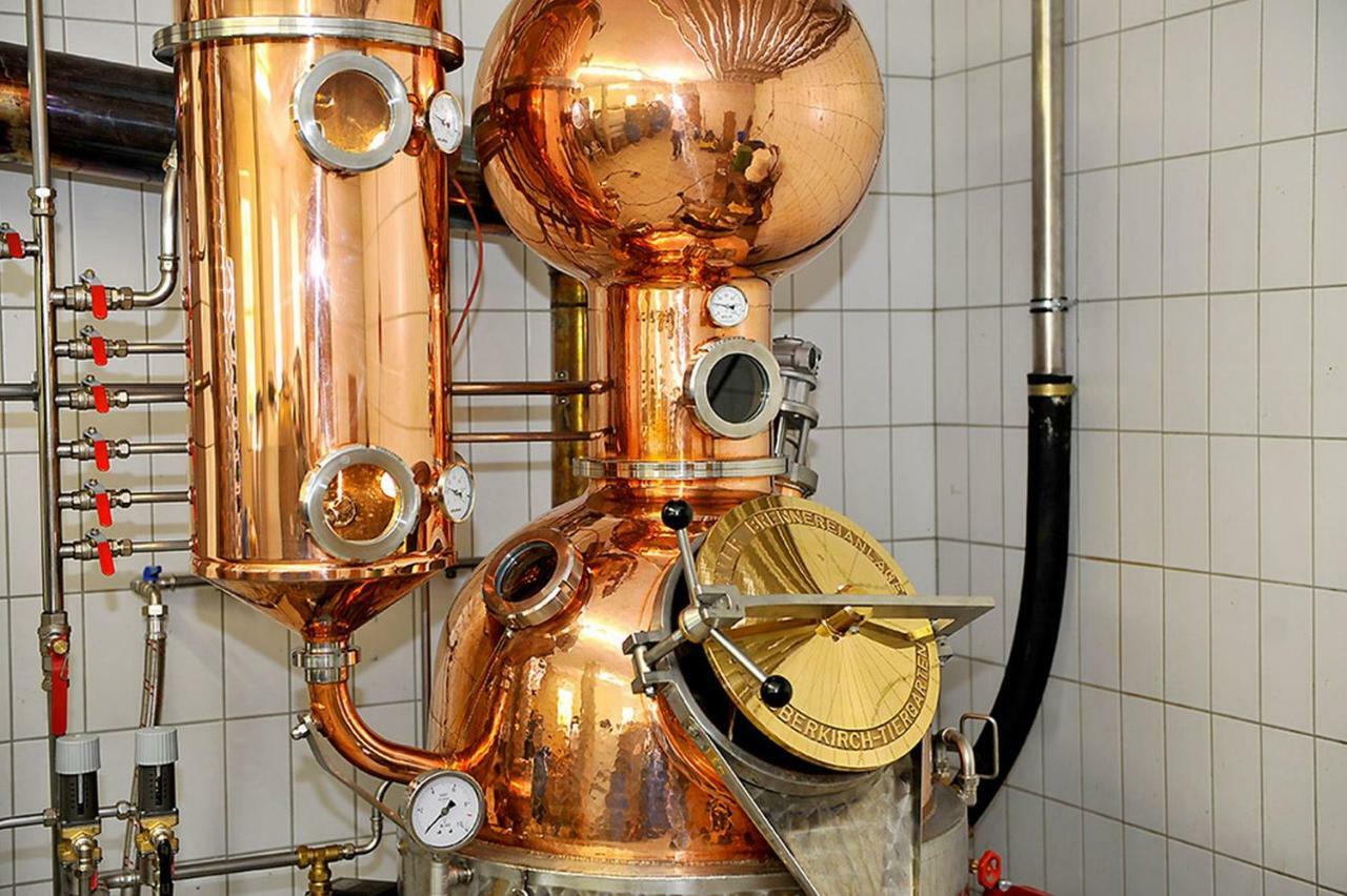 Riehle Hof Lejlighed Zell am Harmersbach Eksteriør billede