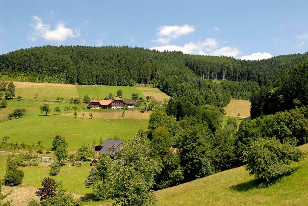 Riehle Hof Lejlighed Zell am Harmersbach Eksteriør billede