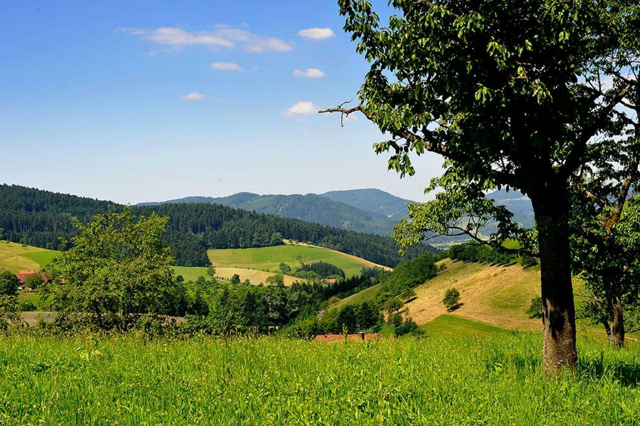Riehle Hof Lejlighed Zell am Harmersbach Eksteriør billede